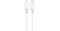 Proove Cable AMP Lite