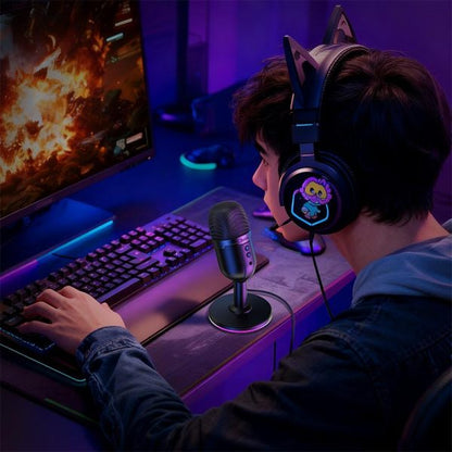 HOCO L25 RGB Desktop USB Microphone