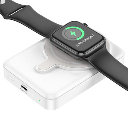 Powerbank Magnetike 10000mAh Q11 Expressar