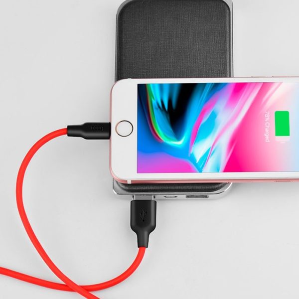Kabllo Karikimi për iPhone X21 Silicone